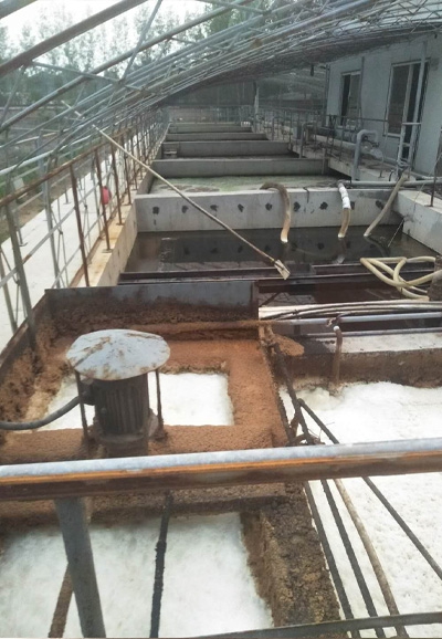武漢污水處理氣浮除渣系統